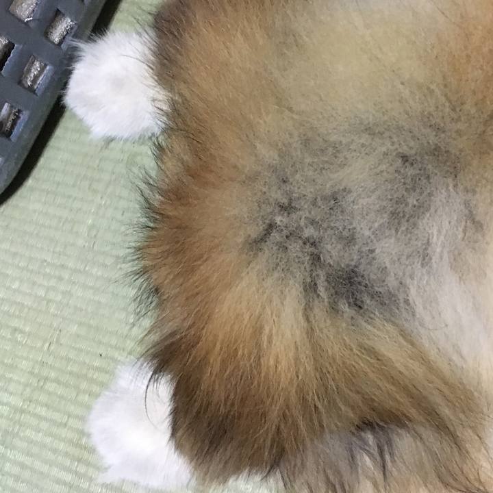 4c0bec13 f734 438f 8a32 c589bcc3248a 1593191807608