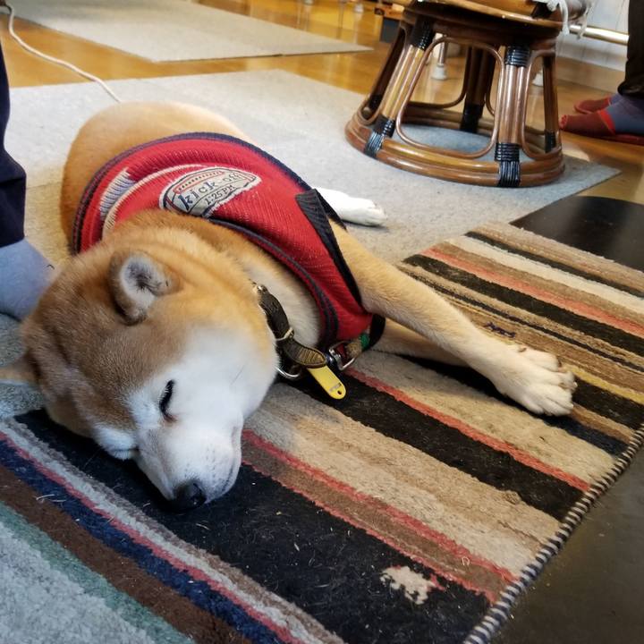 4c0bf3b4 8223 4fe8 8acb 1555ff7d5a36 1608528255688