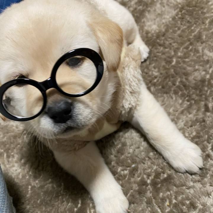 4c0c1915 f727 4a8d afdb 521f66d3c376 1619051910095