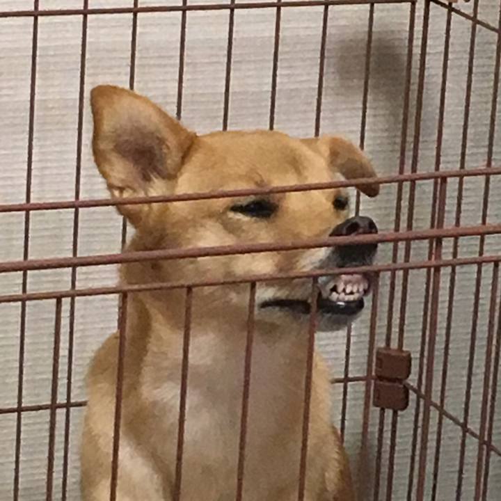 4c0c41f4 e49e 4acd bdb4 ffb5065741b0 1513416148359