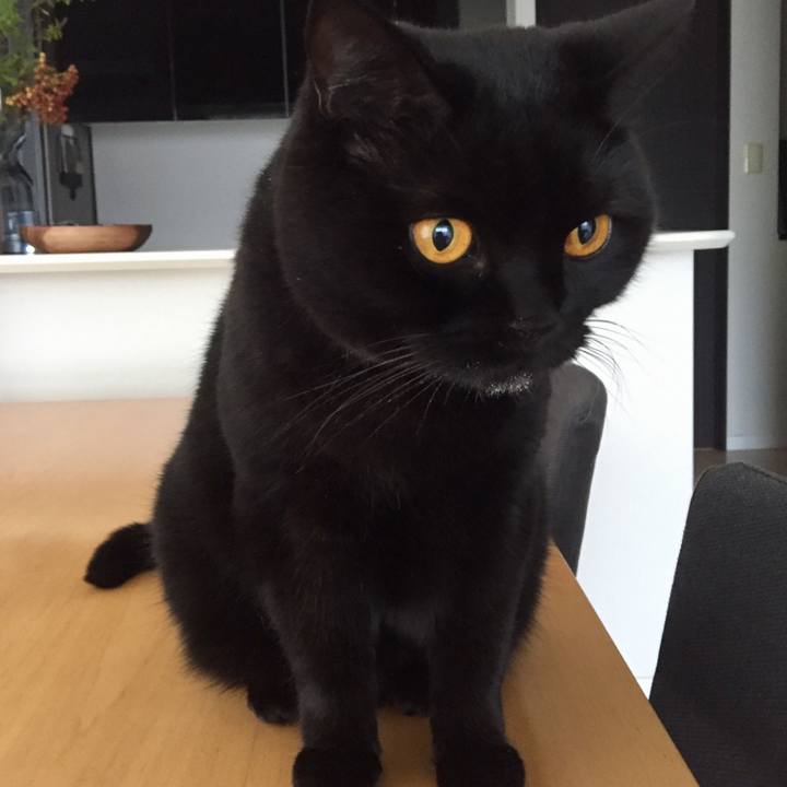 4c0c4bbd c20a 4411 85cf 939ad7a012ce 1570159082322