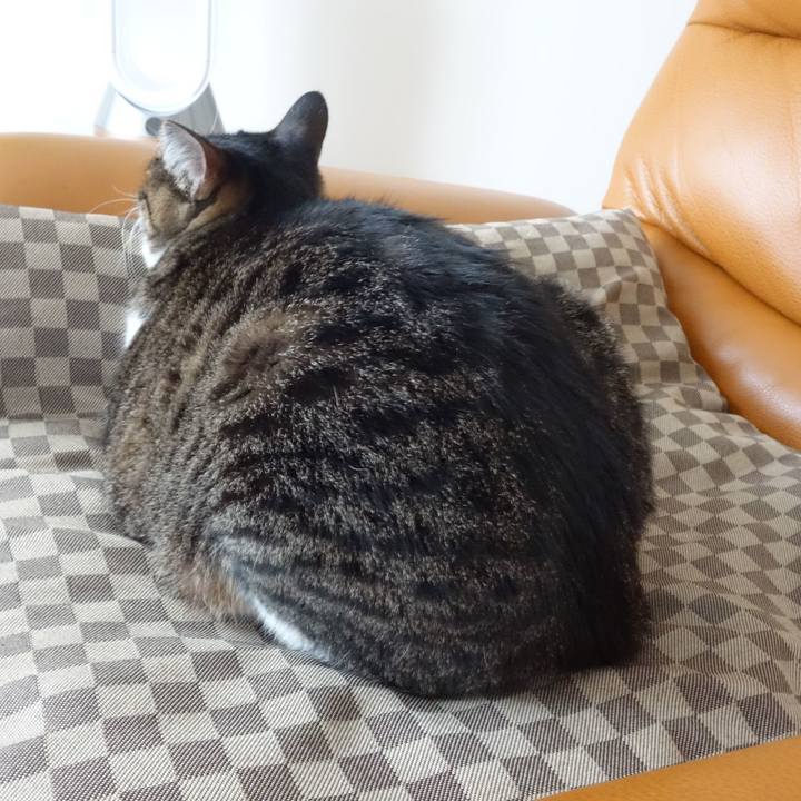 4c0c915c 9679 42ae a7f7 5a60b1a7d573 1762644267704