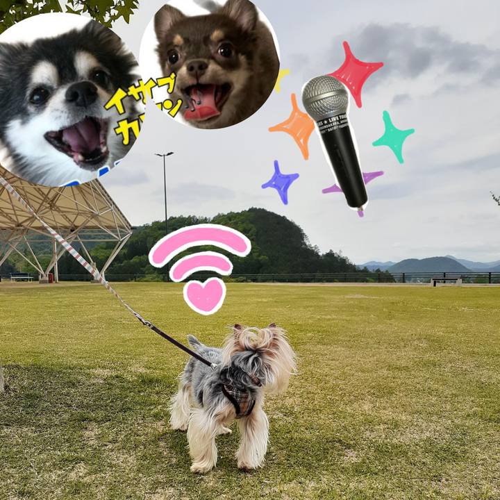 4c0c9bbb a75b 4ee0 a919 0bba9e4da51c 1625659884842