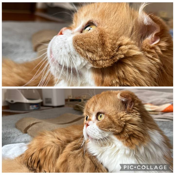 4c0cc620 26a1 4a65 8a96 f9972fbf9177 1767404687041