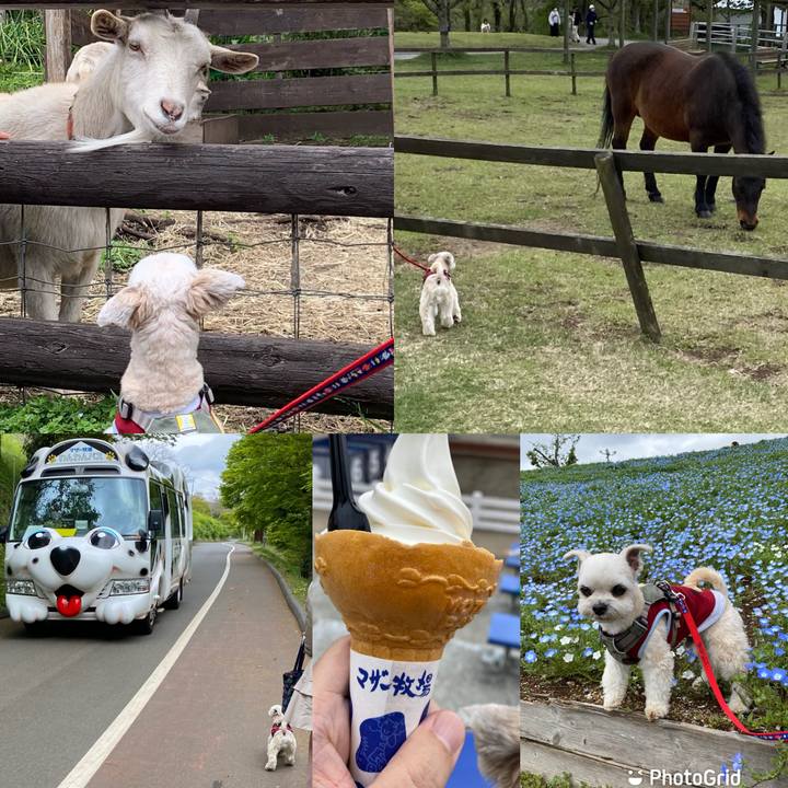 4c0d02a4 4091 4f0c 9319 6a55064aa4a9 1650281382150