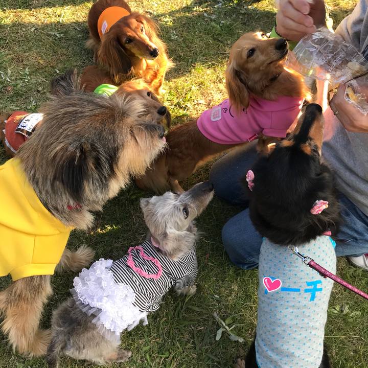 4c0d0629 8875 413e 9f47 034e518095e0 1509697784454