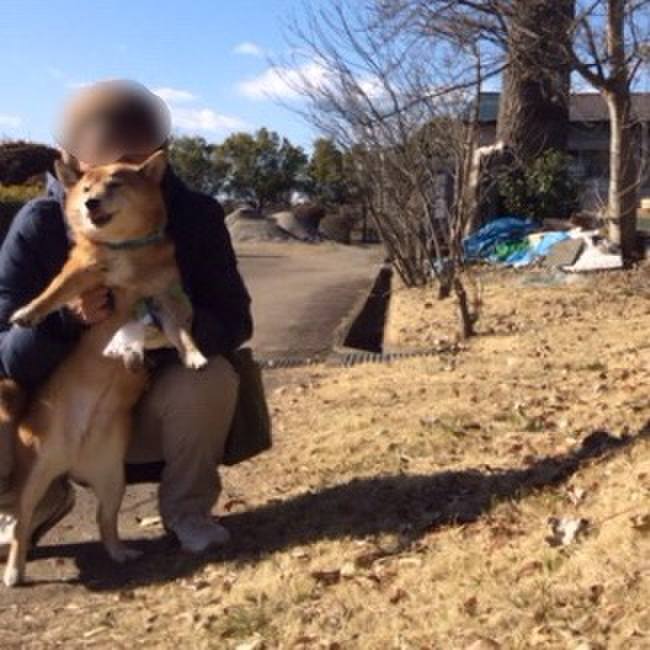 4c0d3aae 2066 48c5 9920 5bb55b6a612d 1547008868668