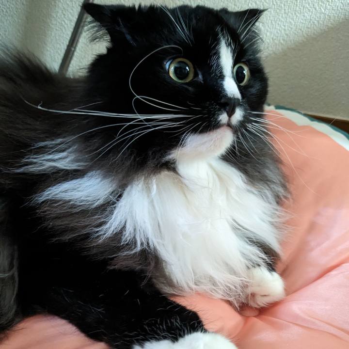 4c0d64b9 5783 4bbd 833e e8ba598782b3 1690418579328