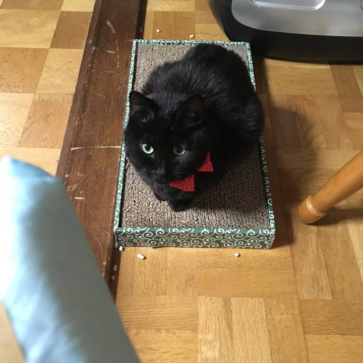 4c0d65d2 8d19 4060 ba4e e73bbef04088 1549878148822