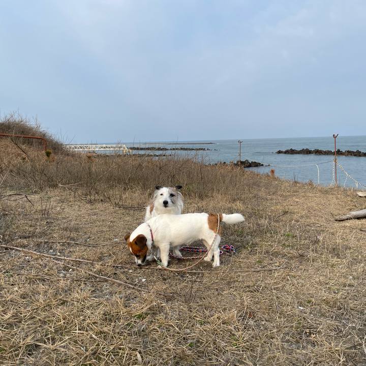 4c0d75d0 d254 4a73 887d b4c8f4436573 1742688795809