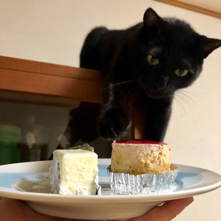 4c0d7ac0 9650 45ad bad7 6e702ae214ce 1540040497472