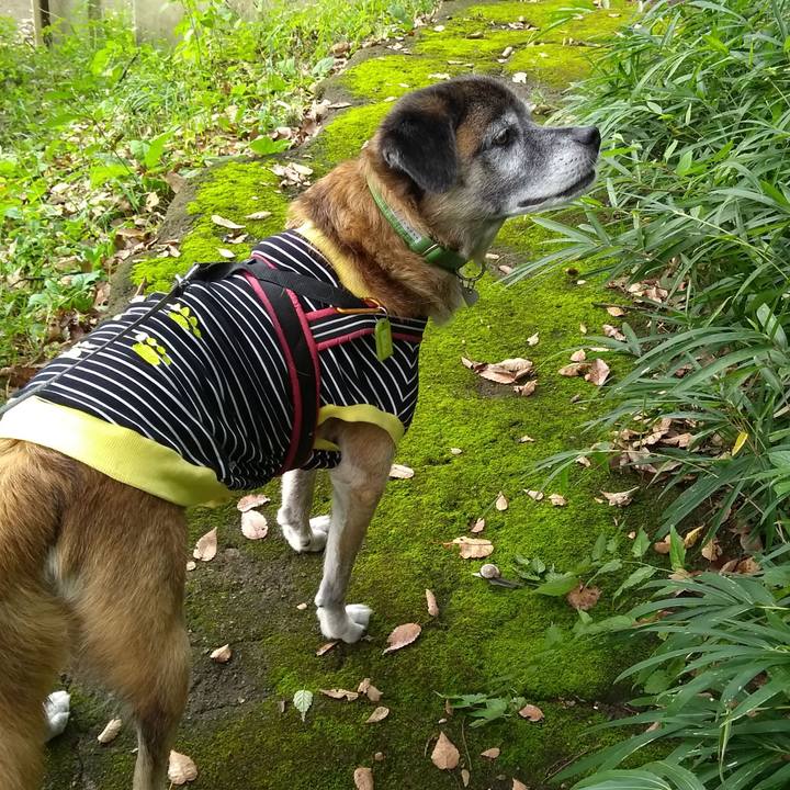 4c0da7fa 7346 4f9e a931 e1ee5f303299 1571874656819