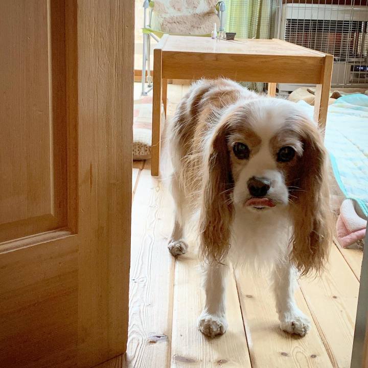 4c0db038 5c42 4bf8 a034 209efdd0cb75 1618006138659