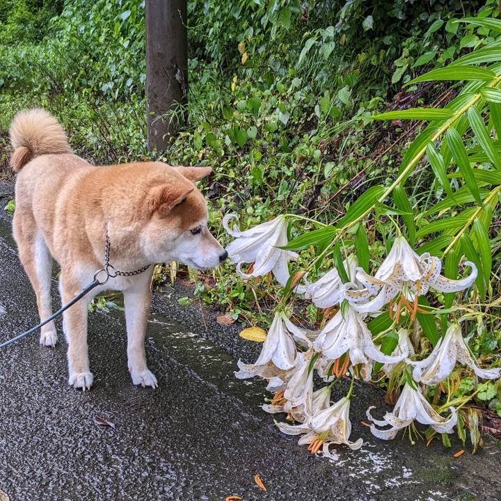 4c0df1a2 ca66 4474 8568 650a89cd6441 1658031087227