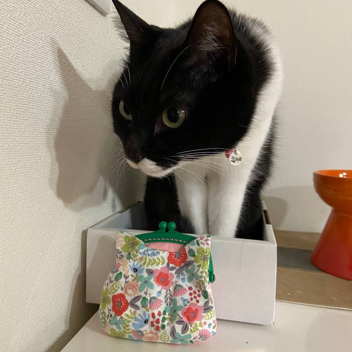 4c0e0df7 03ff 4a7b 8559 5d3e8f90e5c9 1645528246580