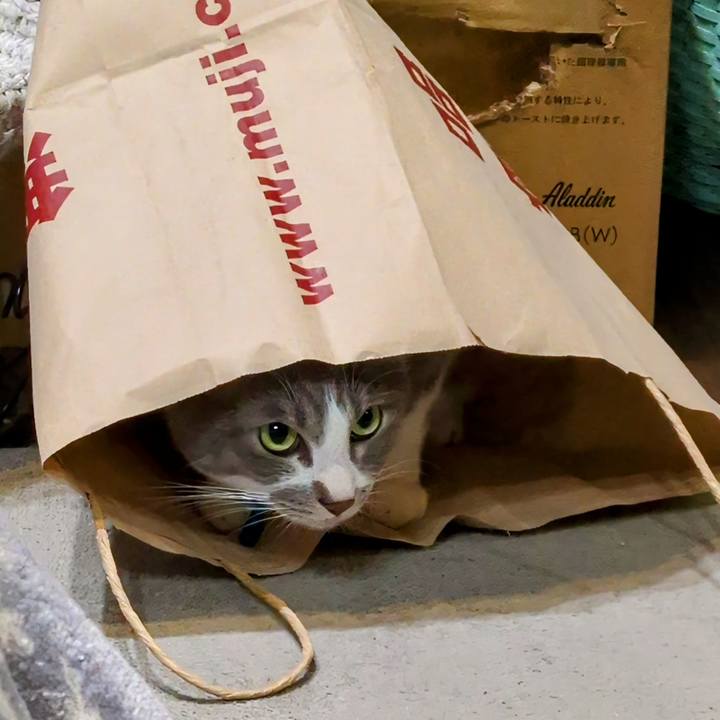 4c0e1835 9093 4bc0 a625 1f8f79e055e7 1761811834803