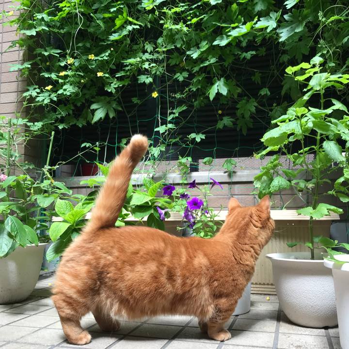 4c0e2550 8918 453c 9986 5de367bb16df 1534125092797