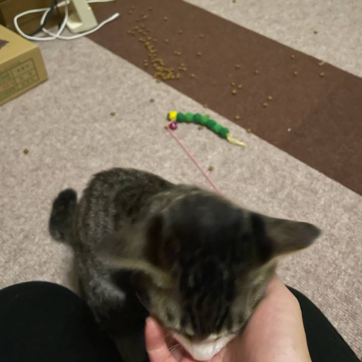 4c0e296d 3fb7 4a8f 8326 04b665d177cf 1726420220856