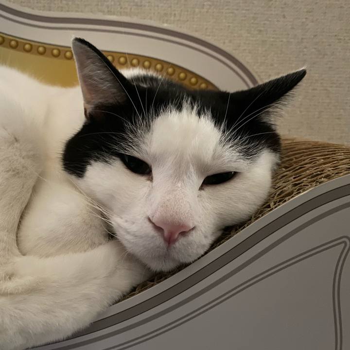 4c0e547d aa4c 44e7 8adf b869f2452865 1604375756845