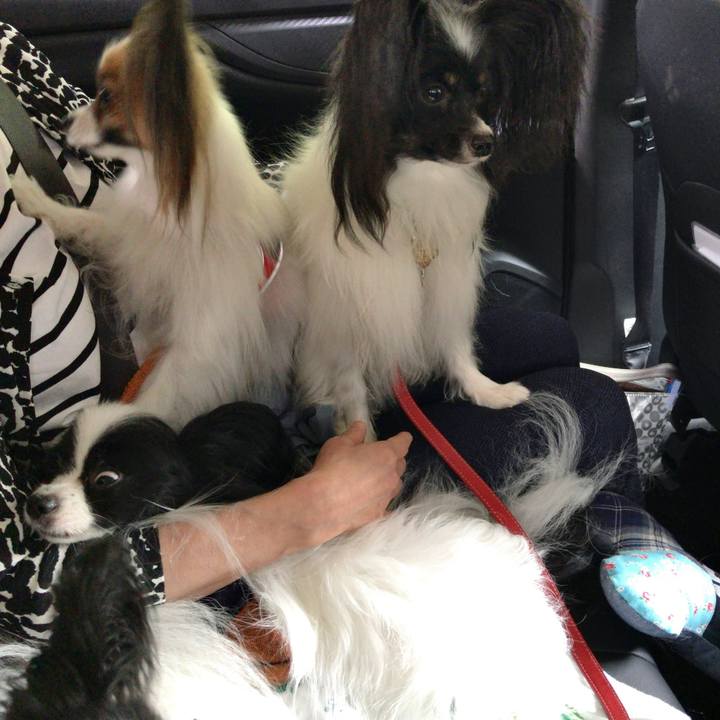 4c0e5a95 59d9 4cdf b21c 522a9e02cf1c 1534643142171