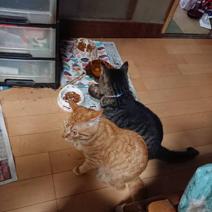 4c0e5bb1 c8fb 4de3 bdef f6c4c263b9bb 1658226300935