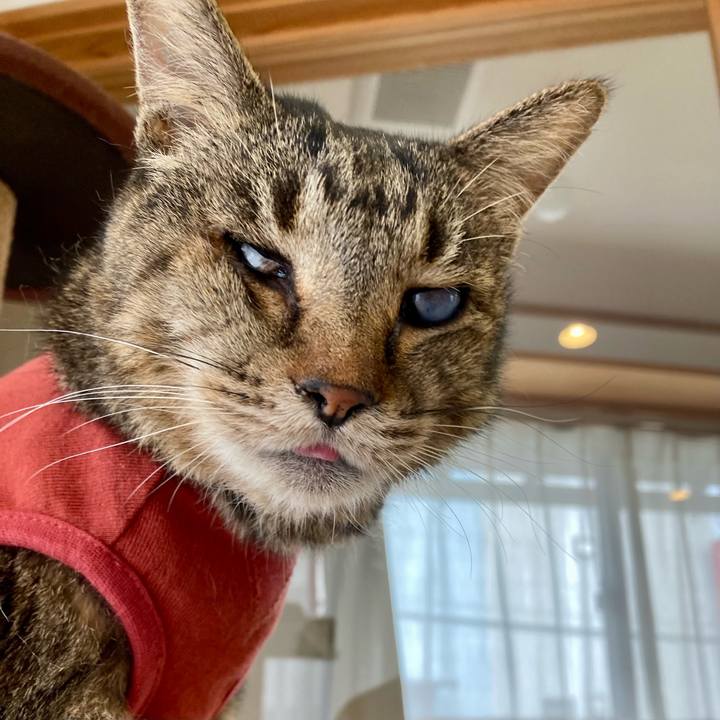 4c0e875a a3e6 49f1 bc2e 4bc07d1b58ca 1680871728408