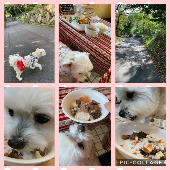 4c0f2d80 99a6 4add 91b2 6ac688b905d5 1604133600837