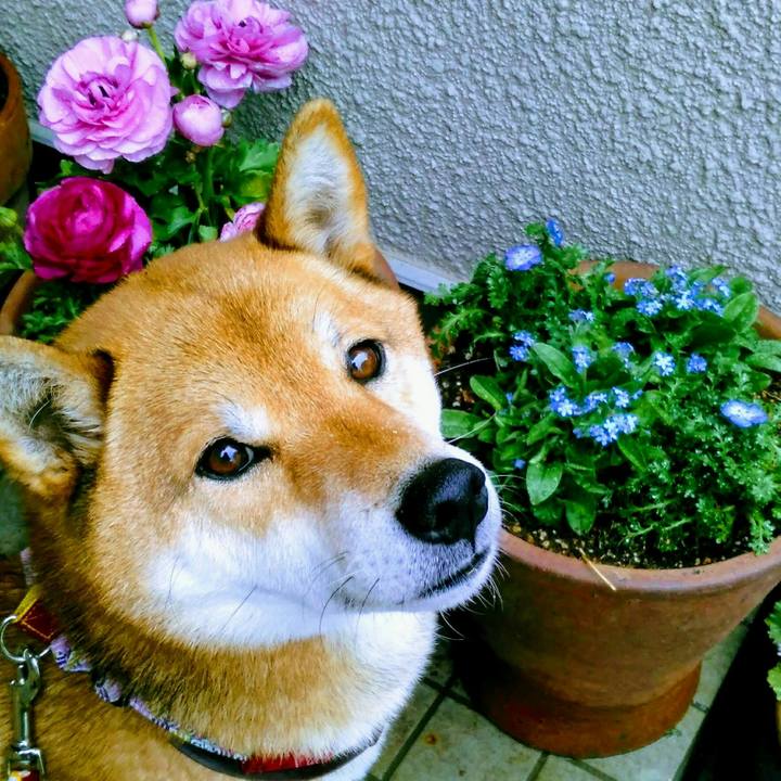 4c0f3785 24b8 41ea b42b 0f0e41ca80ae 1520556411977