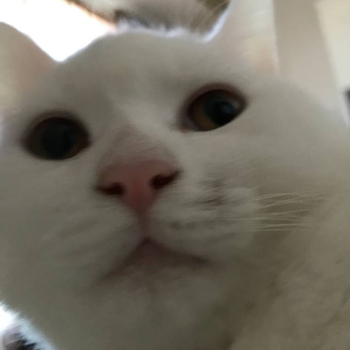 4c0f695f 79ae 4718 8e47 3ea6f60998a8 1513991019189