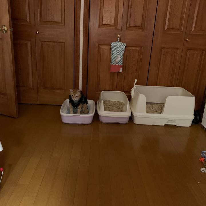 4c0f9783 aae9 479c 9e0f c56a2c13a349 1647638459788