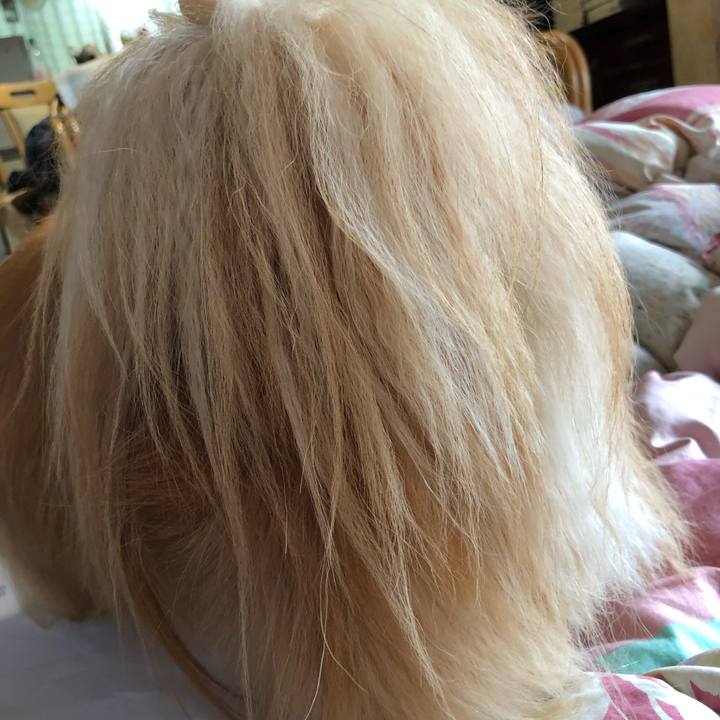 4c0fcb88 b758 426d 80d2 48b20a0969f4 1559453788573