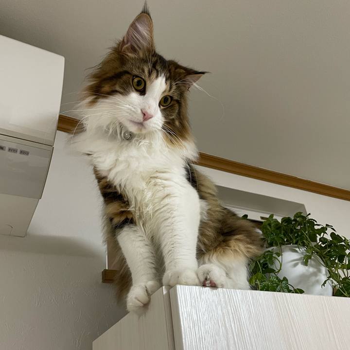 4c0fd33d c928 4bcd ba43 57c464ae411a 1643493880216