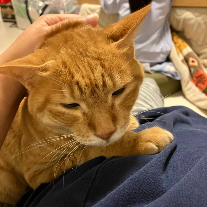 4c102e0d ca1a 42b2 ac28 657e74244b54 1761988293784