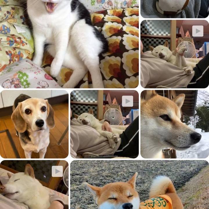 4c10521f e95c 4bd2 ac4a 2e601ad10d6f 1641038036441