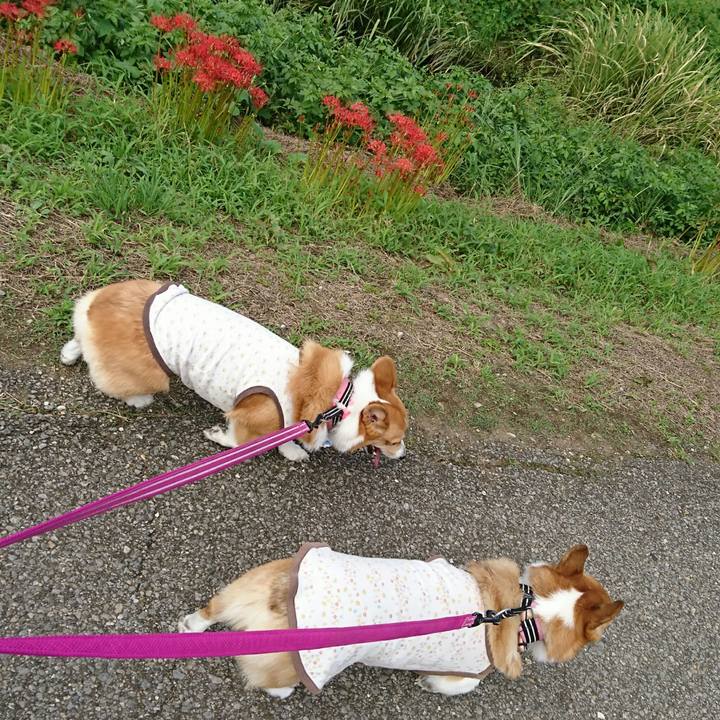 4c10642c c0b9 46db 939b 1898bc3218de 1536837732115