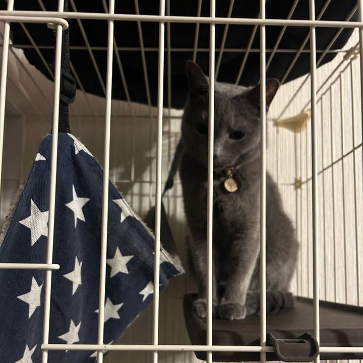 4c10697c 02a2 4c8e 8a12 73ec356669ca 1740135685153