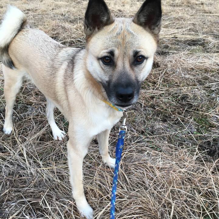 4c10728b b3f0 4ffd a608 1d025ef6f4bf 1513774155462