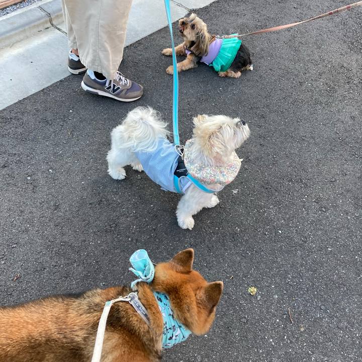 4c107467 c0c4 4389 abda 2dbb8ba18dcc 1724404002172