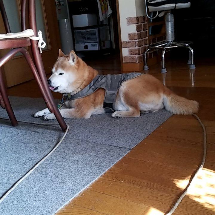 4c10bf44 799b 4a36 9740 3afb2cc6bf72 1680148049670