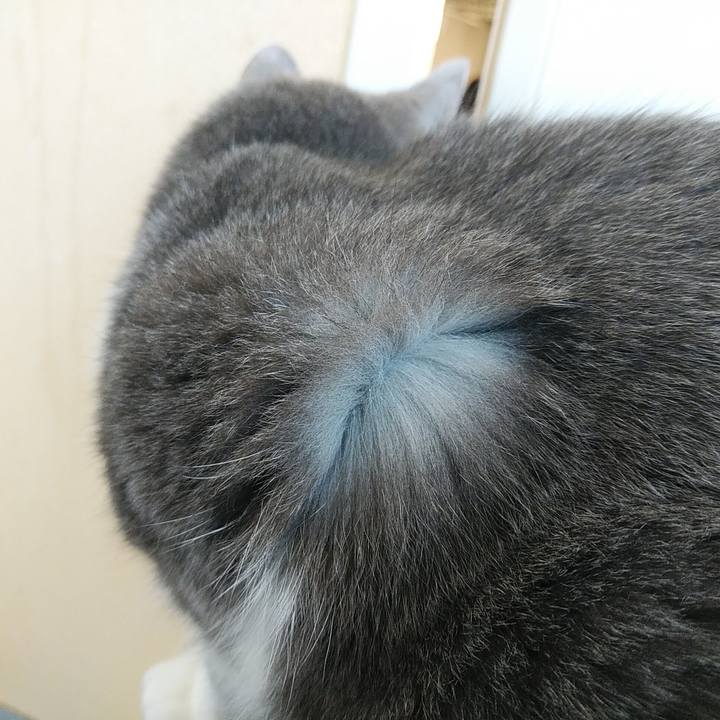 4c11179c d389 4ab7 91b0 ebb33525b8d1 1675000041701