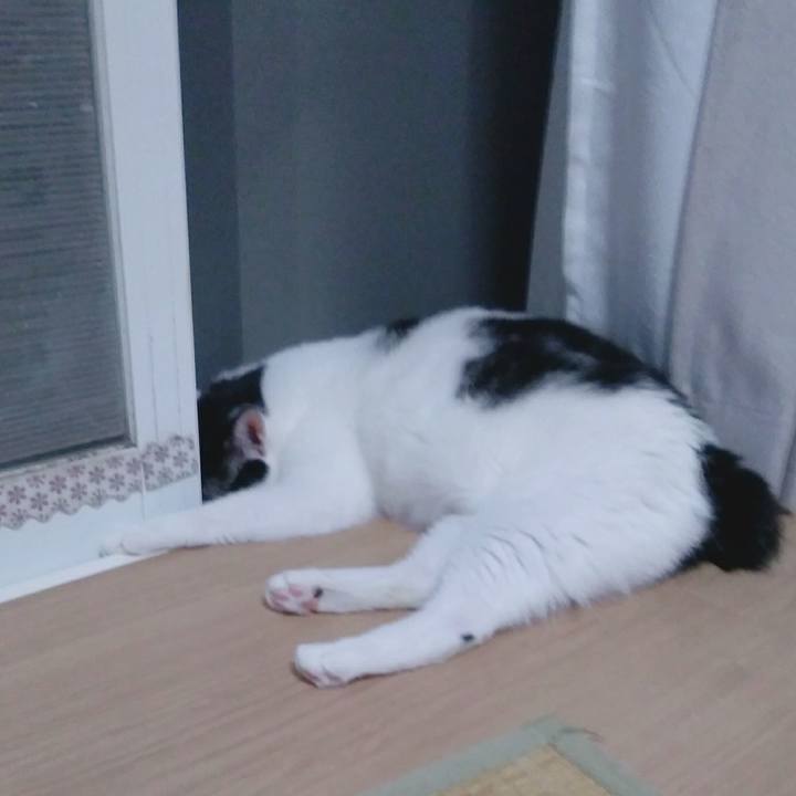 4c115310 301d 4a6c 9397 d2b6f75c8fce 1534245435727