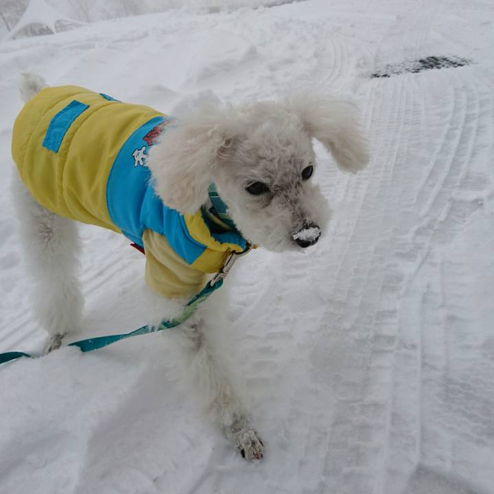 4c116047 ac9a 4d62 b72c 4240bfe0f19a 1511496771839