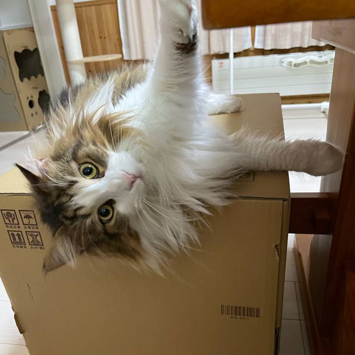 4c116660 e720 432a 8dd0 68e3f6c476f1 1674038571573