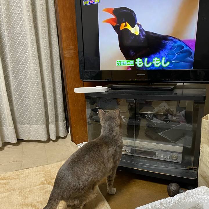 4c118bcd 905c 42e4 bb98 b61c369f9eda 1590676090388