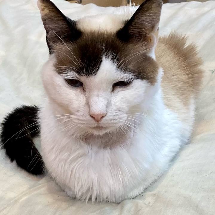 4c118dce c474 415d b0d8 8fac7254cb14 1678597181781