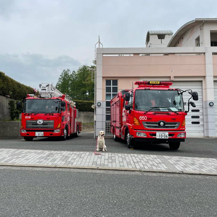 4c11cf37 8887 4918 9349 a1c61880f49f 1650692953604