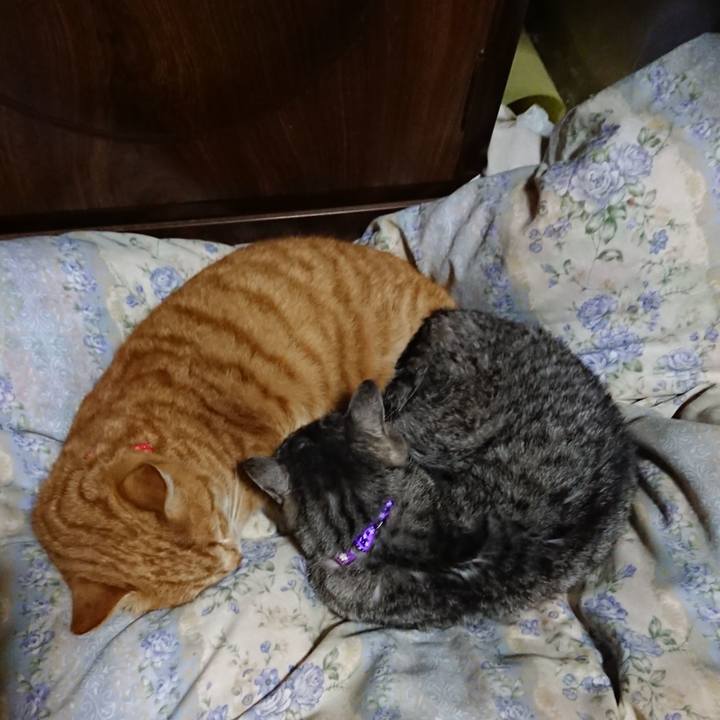 4c120deb 962f 4f40 90bf 50ed792b337e 1578573974795