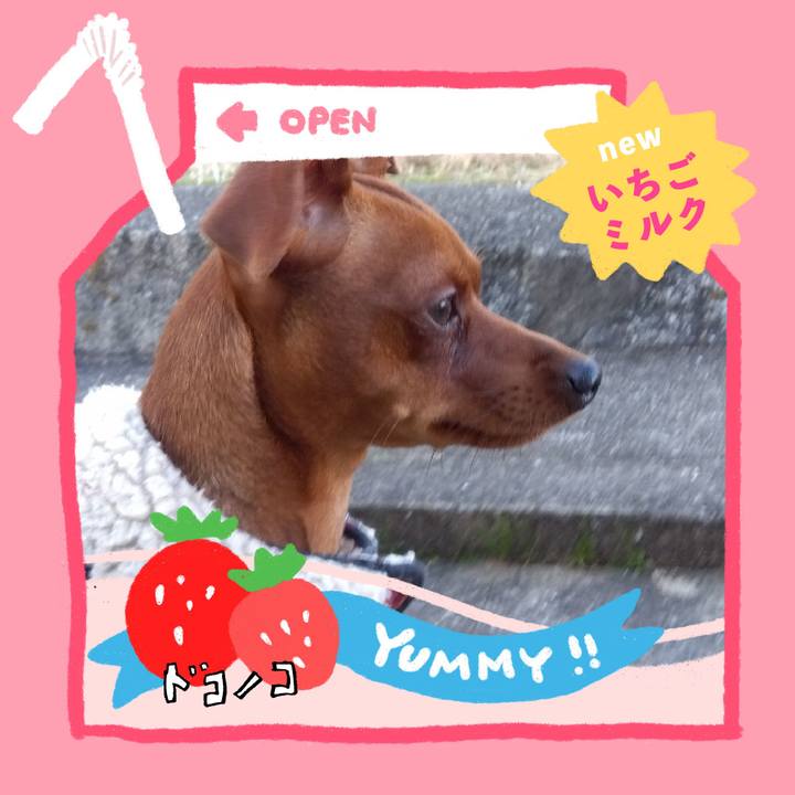 4c122e9f e8a1 488d 8e53 6e6cc5a74e94 1711423622944