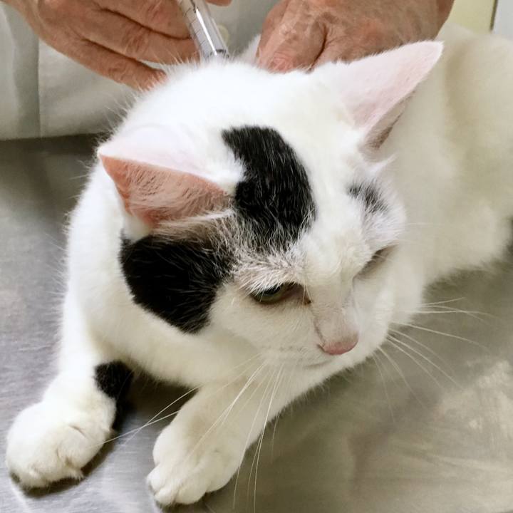 4c124e79 2eeb 4fb5 b400 eee8acd82ccb 1567762565616