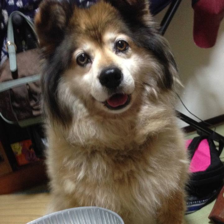 4c125a19 3686 4c43 a7f4 99bbd300725c 1555764340236